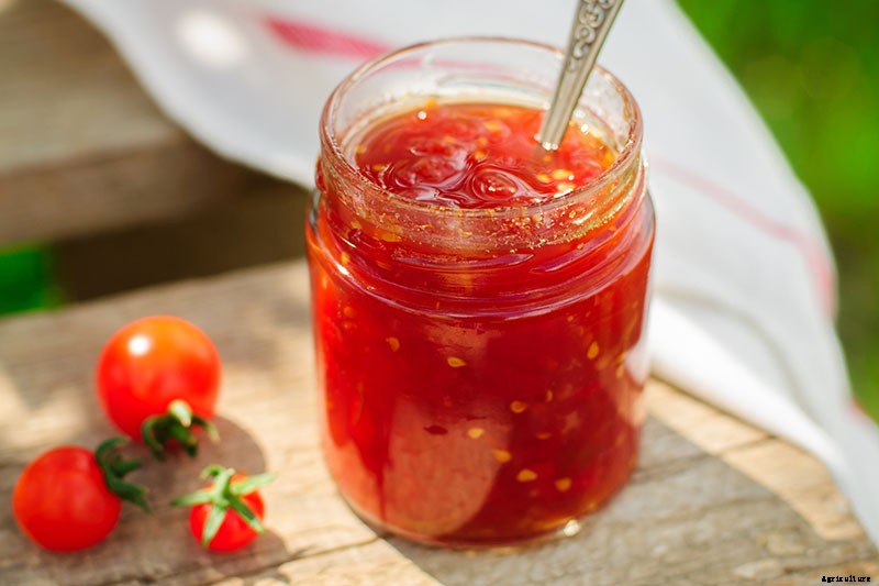 Can You Freeze Fresh Tomatoes? Tips for Freezing Your Homegrown Crop