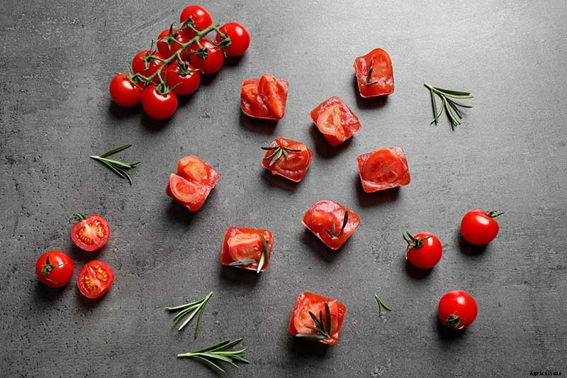 Can You Freeze Fresh Tomatoes? Tips for Freezing Your Homegrown Crop
