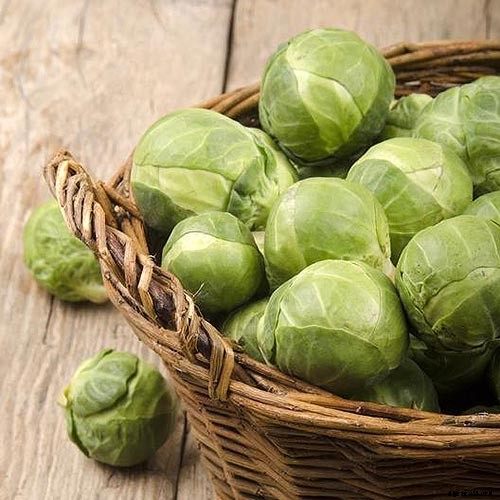 15 of the Best Brussels Sprout Varieties to Grow at Home