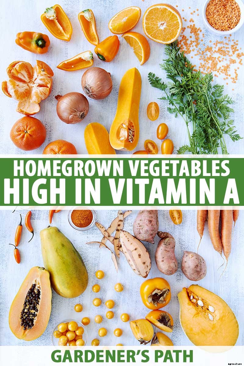 The Best Homegrown Vegetables High in Vitamin A