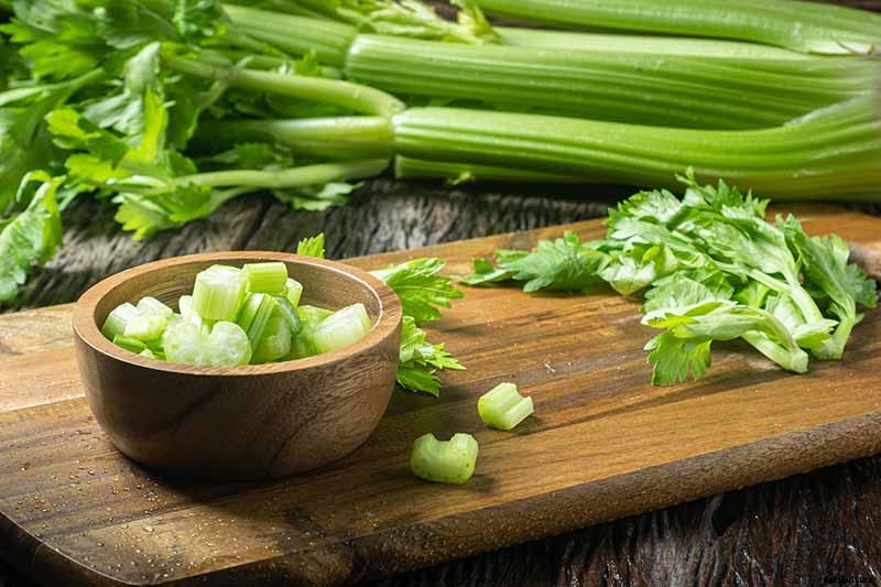 9 of the Best Celery Cultivars for Your Garden