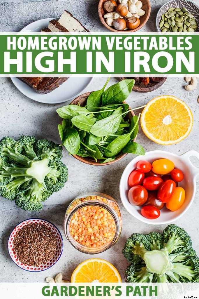 What Vegetables Are High in Iron?