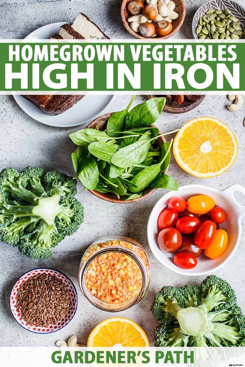 What Vegetables Are High in Iron?