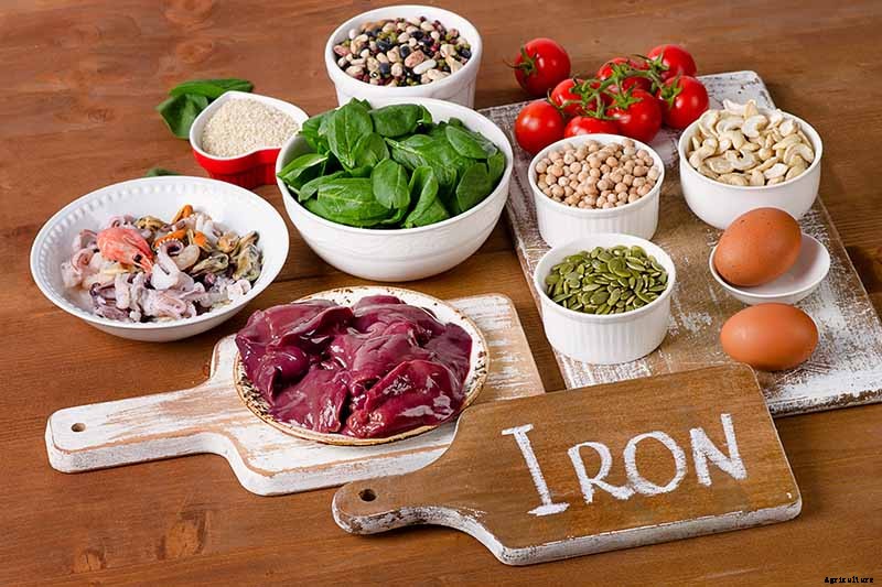 What Vegetables Are High in Iron?