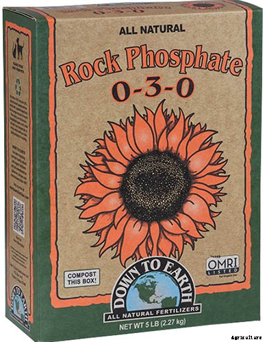 How to Identify, Prevent, and Treat Common Beet Diseases