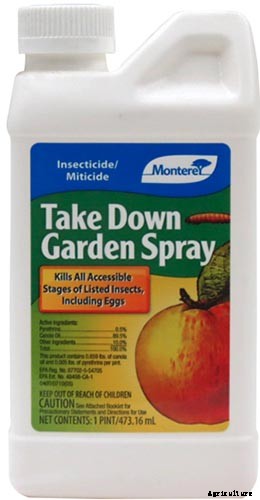 13 Common Beet Pests: Identification, Control Tips, and Prevention