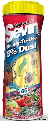 13 Common Beet Pests: Identification, Control Tips, and Prevention