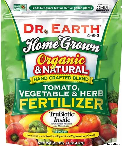 How to Start Broccoli from Seed