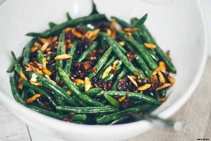 When and How to Harvest Shallots