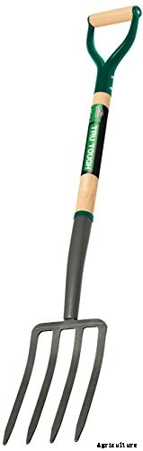 Troubleshooting Deformed Beets and Reasons Why Beets Are Too Small