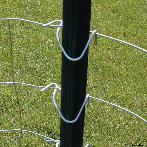 How to Train Pumpkins to Grow on a Trellis