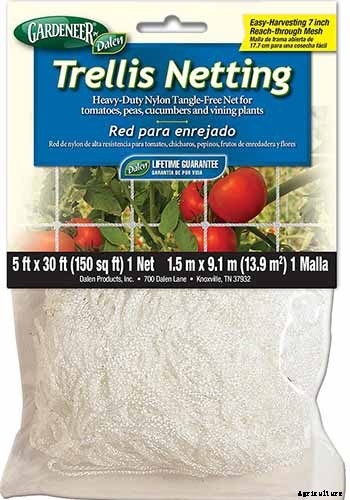 How to Train Pumpkins to Grow on a Trellis