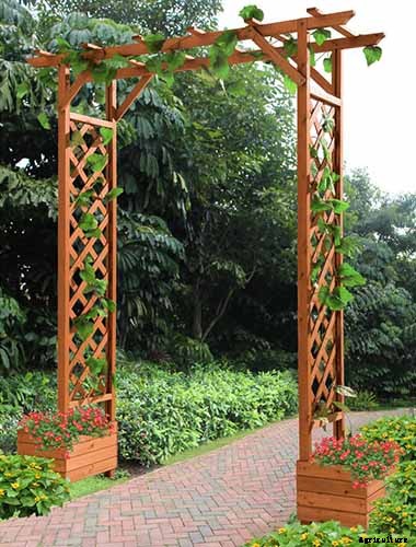 How to Train Pumpkins to Grow on a Trellis