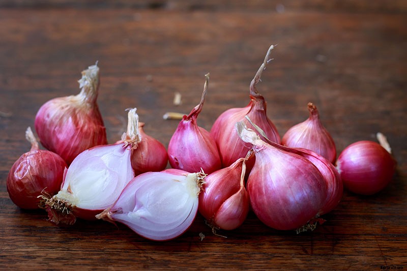 How to Plant and Grow Shallots
