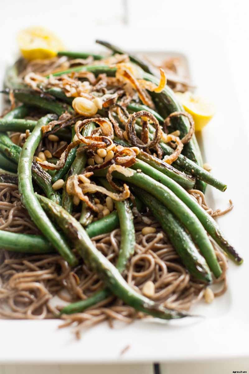 How to Plant and Grow Shallots