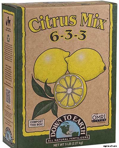 How to Grow Giant Pumpkins