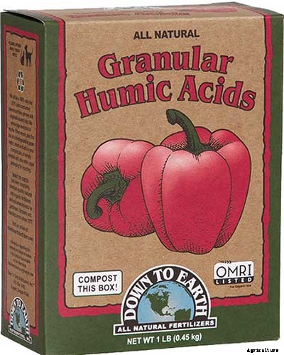 How to Grow Giant Pumpkins