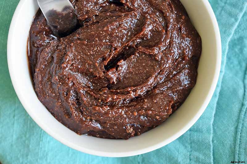 How to Harvest Hazelnuts