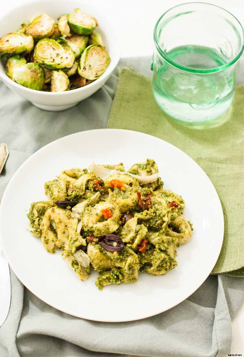 How to Harvest Hazelnuts