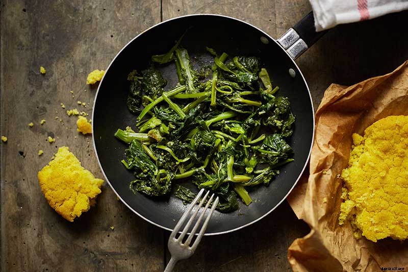 Health Benefits of Turnip Greens