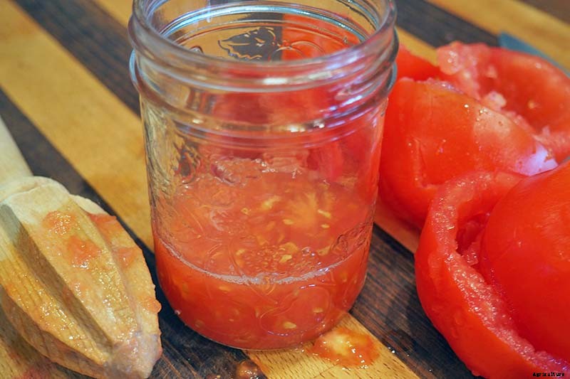 How to Save Tomato Seeds for Planting