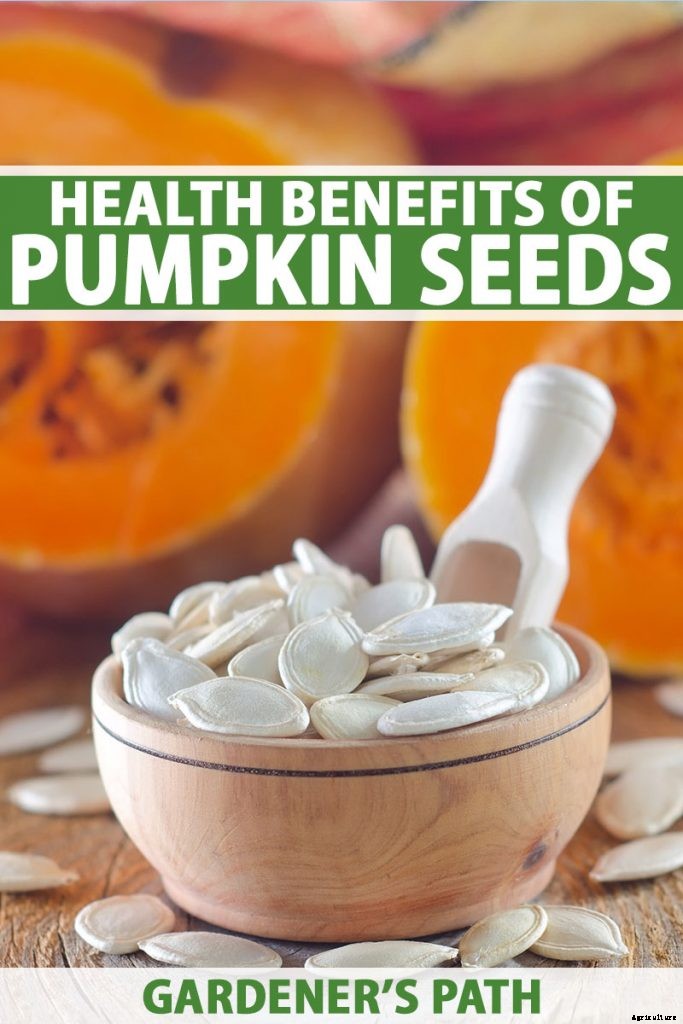 Nutrition and Health Benefits of Pumpkin Seeds