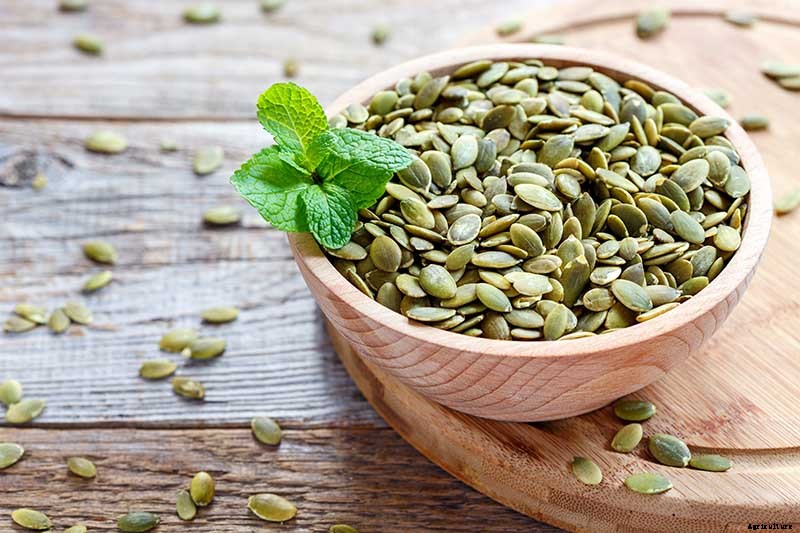 Nutrition and Health Benefits of Pumpkin Seeds