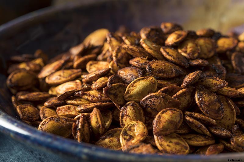 Nutrition and Health Benefits of Pumpkin Seeds