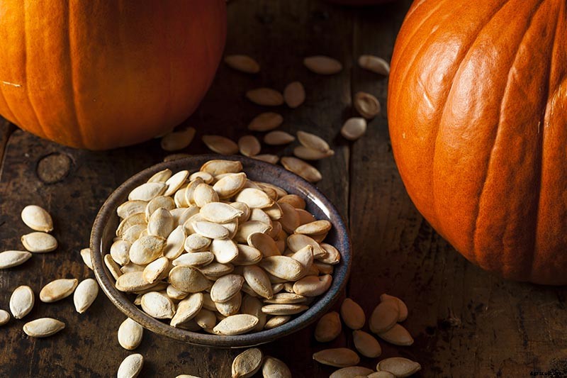 Nutrition and Health Benefits of Pumpkin Seeds