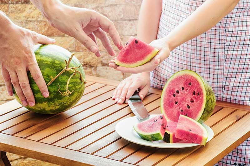 The Taste of Summer: How to Plant and Grow Watermelons