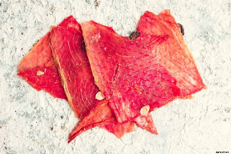 The Taste of Summer: How to Plant and Grow Watermelons