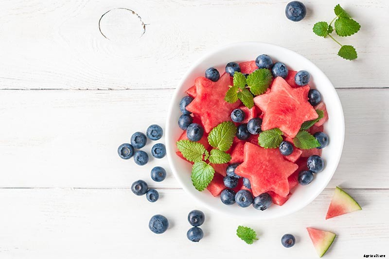 The Taste of Summer: How to Plant and Grow Watermelons