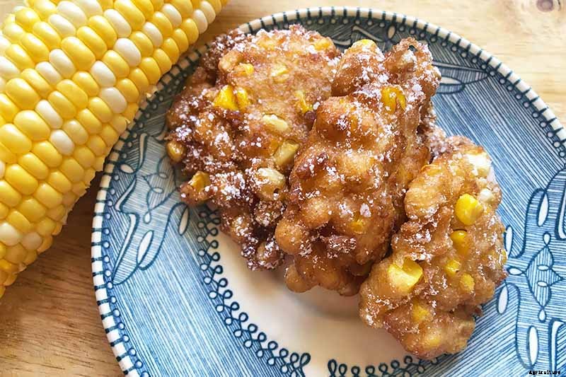 Master Growing Delicious Sweet Corn in Your Backyard