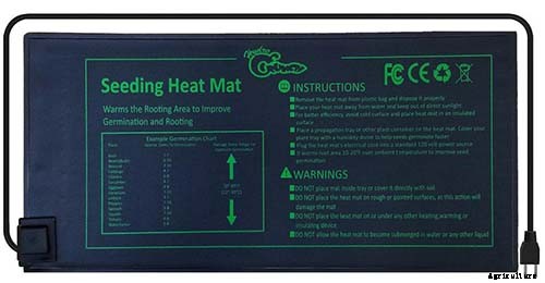 How to Grow and Care for Dreamy Delphiniums