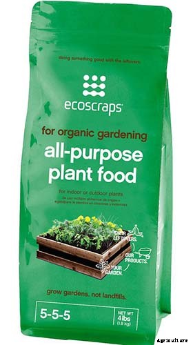 How to Grow and Care for Dreamy Delphiniums