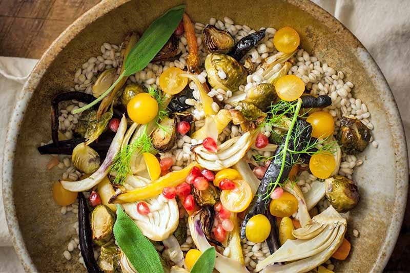 Grow Common Sage, a Mediterranean Culinary Staple