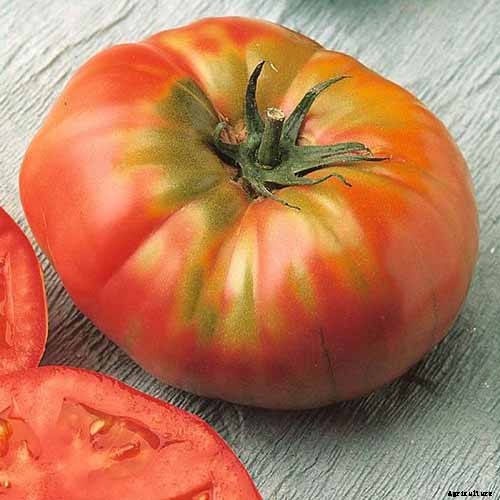 How to Grow Tomatoes in Containers