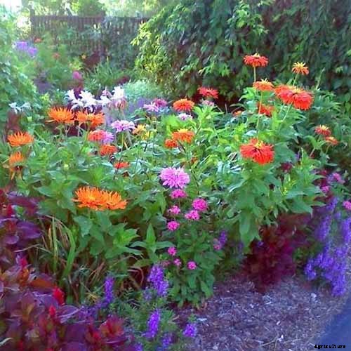 13 Flowering Plants Rabbits Will Leave Alone