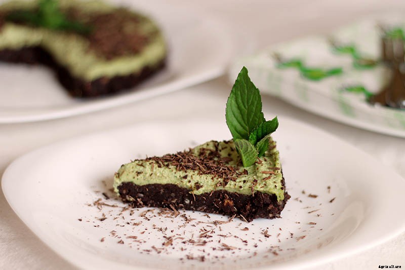 How to Grow and Care for Peppermint Plants