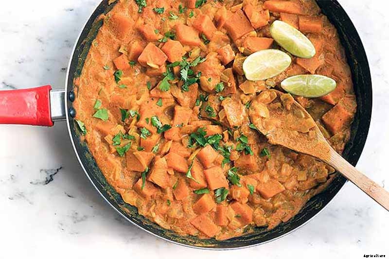 11 of the Best Pumpkin Varieties for Cooking