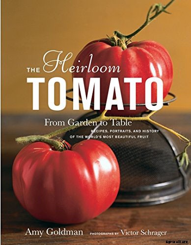 What Is an Heirloom Tomato?