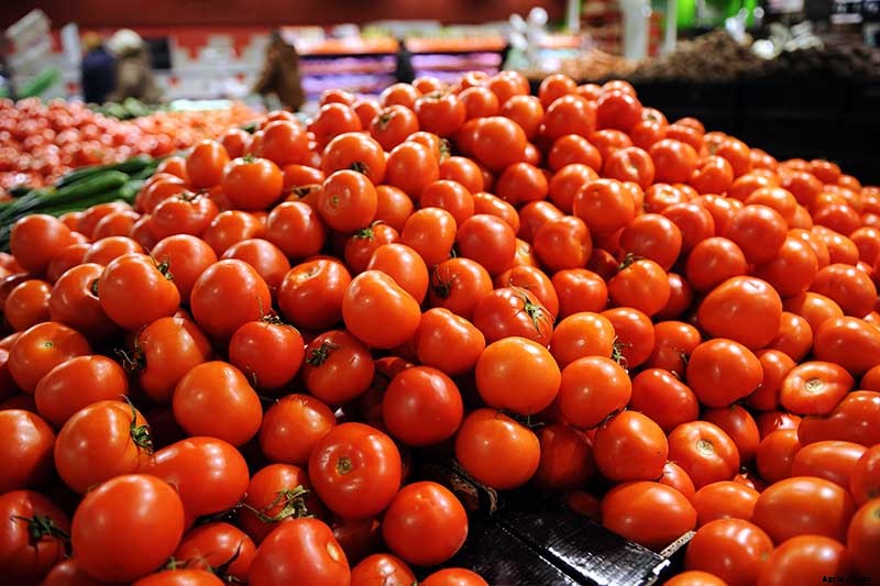 What Is an Heirloom Tomato?