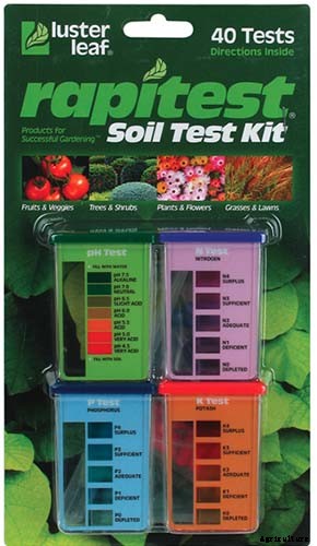 How and When to Fertilize Your Pumpkin Plants