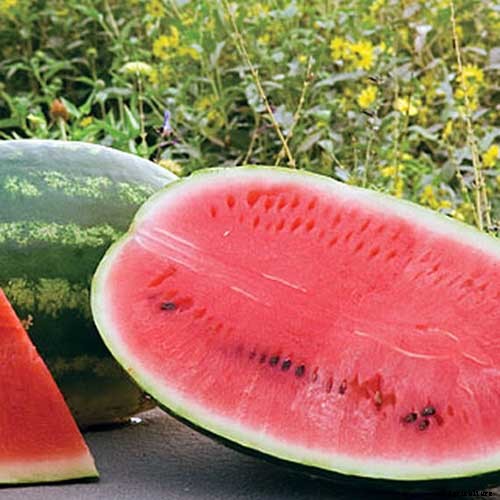 25 of the Sweetest, Juiciest Watermelon Varieties You Can Grow