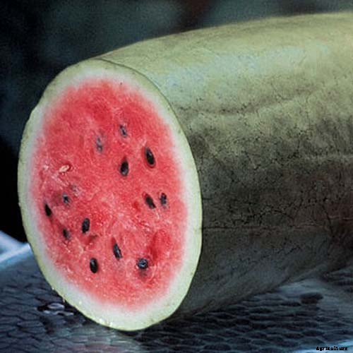 25 of the Sweetest, Juiciest Watermelon Varieties You Can Grow