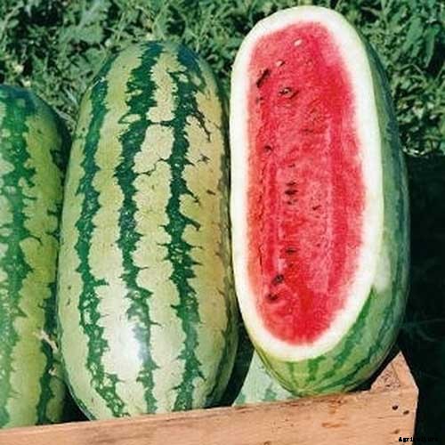 25 of the Sweetest, Juiciest Watermelon Varieties You Can Grow