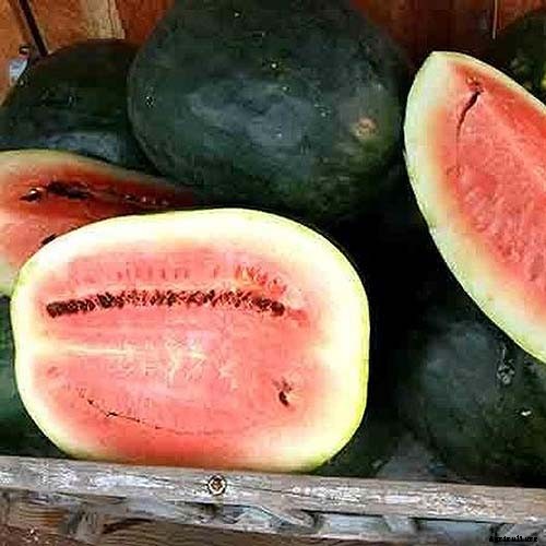 25 of the Sweetest, Juiciest Watermelon Varieties You Can Grow
