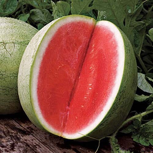 25 of the Sweetest, Juiciest Watermelon Varieties You Can Grow
