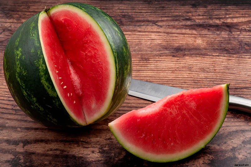 25 of the Sweetest, Juiciest Watermelon Varieties You Can Grow