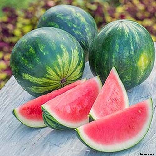 25 of the Sweetest, Juiciest Watermelon Varieties You Can Grow